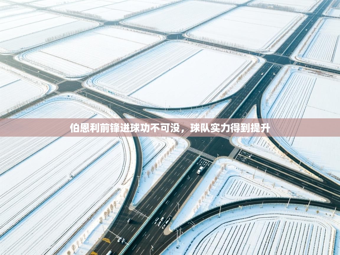 爱游戏体育娱乐赞助罗马-伯恩利前锋进球功不可没,球队实力得到提升 第2张