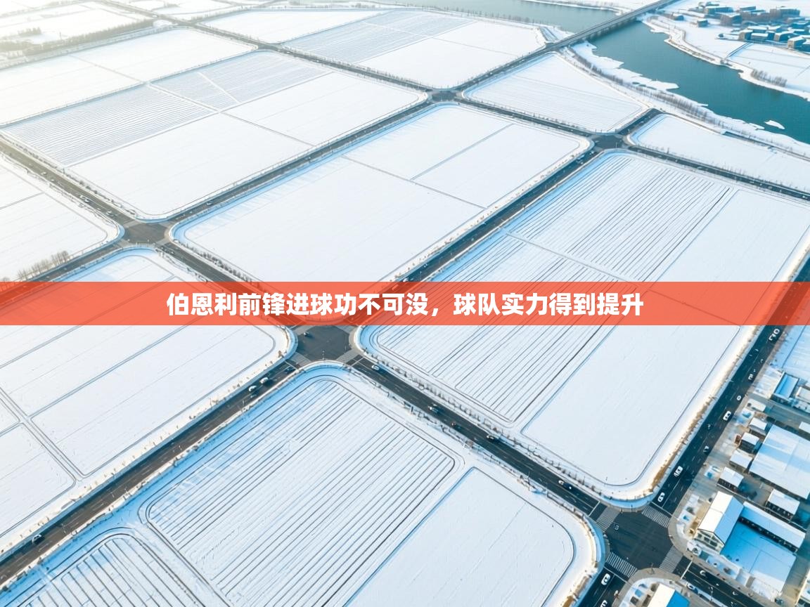 爱游戏体育娱乐赞助罗马-伯恩利前锋进球功不可没,球队实力得到提升 第4张